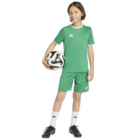 Spodenki adidas ENTRADA 26 Short Junior JZ6530