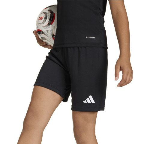 Spodenki adidas ENTRADA 26 Short Junior JZ6531