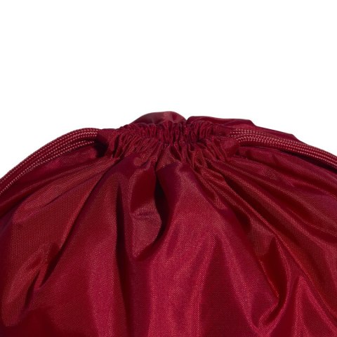 Worek na buty i odzież adidas Linear Gymsack KE5709