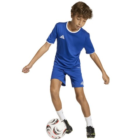 Spodenki adidas ENTRADA 26 Short Junior JZ6524