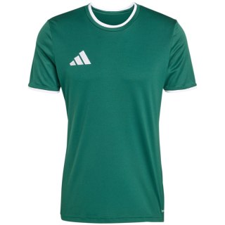 Koszulka męska adidas Entrada 26 Jersey zielona KE9832