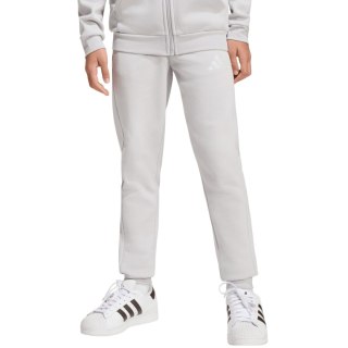 Spodnie dla dzieci adidas Entrada 26 Sweat Pants szare JZ9137