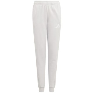 Spodnie dla dzieci adidas Entrada 26 Sweat Pants szare JZ9137