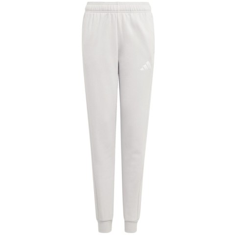 Spodnie dla dzieci adidas Entrada 26 Sweat Pants szare JZ9137