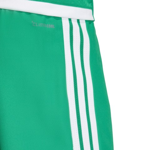 Spodenki męskie adidas Tiro 26 Competition Match Day zielone KA6175