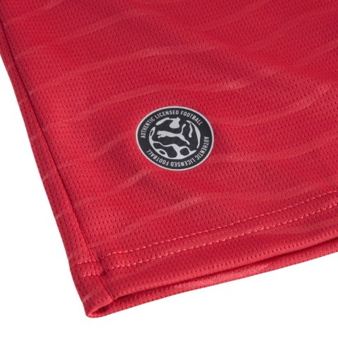 Koszulka dla dzieci Puma FPF Home Jersey Replica 788144 77
