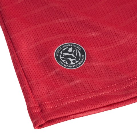 Koszulka męska Puma FPF Home Jersey Replica czerwona 788141 77