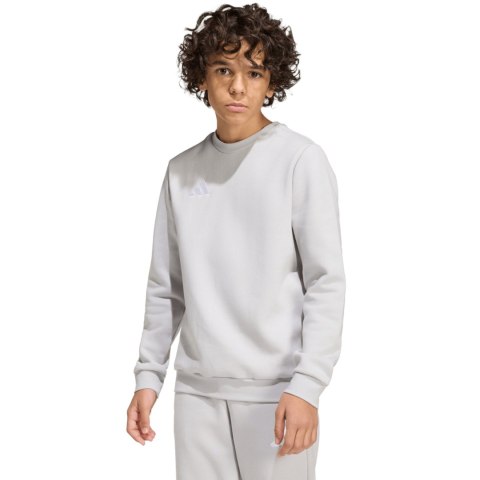 Bluza dla dzieci adidas Entrada 26 Sweat Top szara JZ6551