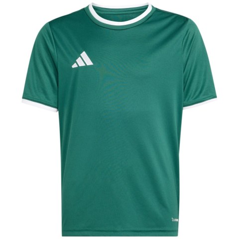 Koszulka dla dzieci adidas Entrada 26 Jersey zielona KE9834