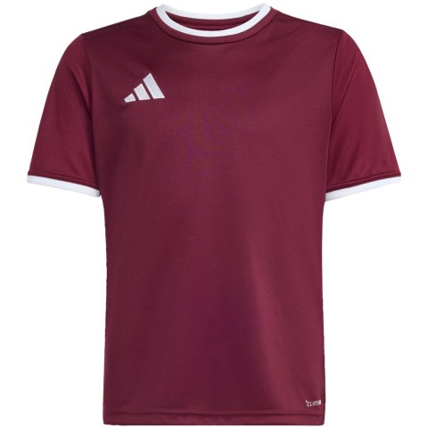 Koszulka dla dzieci adidas Entrada 26 Jersey bordowa JZ2530