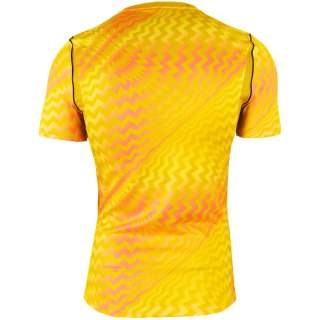 Koszulka męska Nike Dri_Fit Gardien VI Goalkeeper żółta HV8301 718