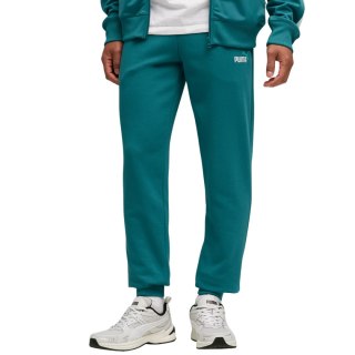 Spodnie męskie Puma Ess 2 Color No.1 Logo zielone 684714 41
