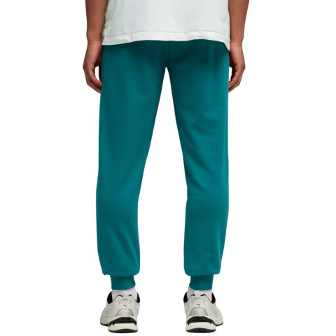Spodnie męskie Puma Ess 2 Color No.1 Logo zielone 684714 41