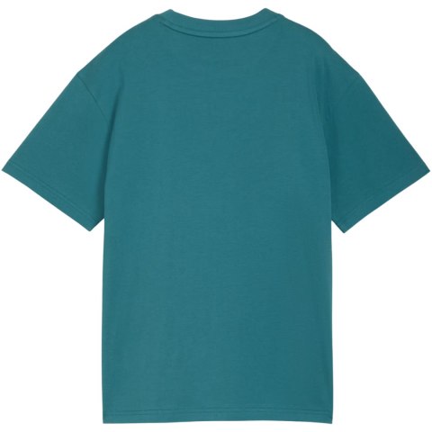 Koszulka dla dzieci Puma ESS Small No.1 Logo Relaxed Tee zielona 684920 41