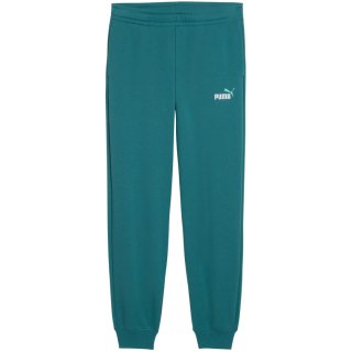 Spodnie dla dzieci Puma ESS 2 Color No.1 Logo zielone 693892 41