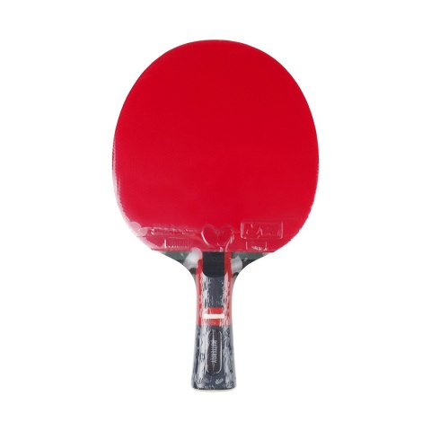 Rakietka do ping ponga Butterfly Dang Qiu DQX3