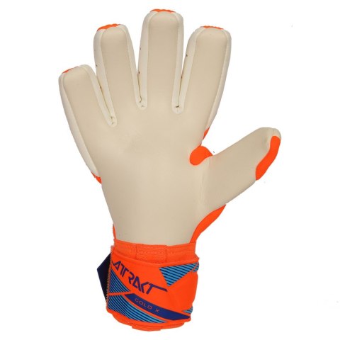 Rękawice Reusch Attrakt Gold X NC World Cup 56 70 056 2290
