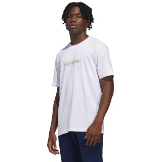 Koszulka męska adidas Color Connect Graphic biała JZ7546