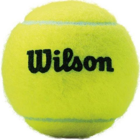 Wilson Piłki do tenisa ziemnego Wilson Championship 3 szt WRT100101