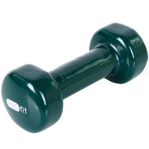 PROfit Hantle winylowe Profit zielone 2x2 kg DK 4102
