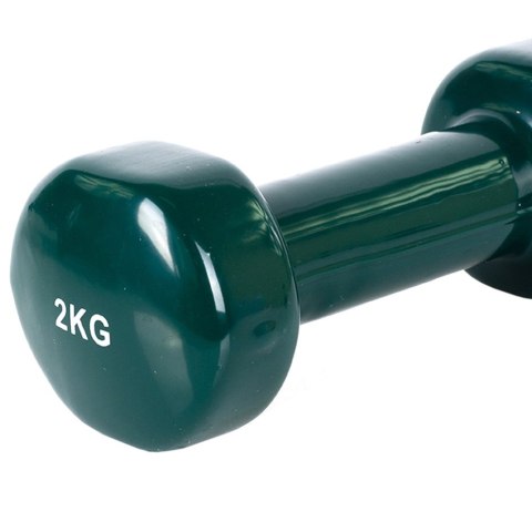 PROfit Hantle winylowe Profit zielone 2x2 kg DK 4102