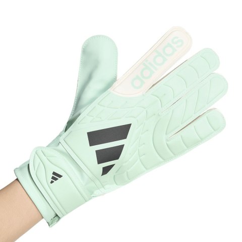 Adidas Rękawice adidas Copa GK Club KE9730